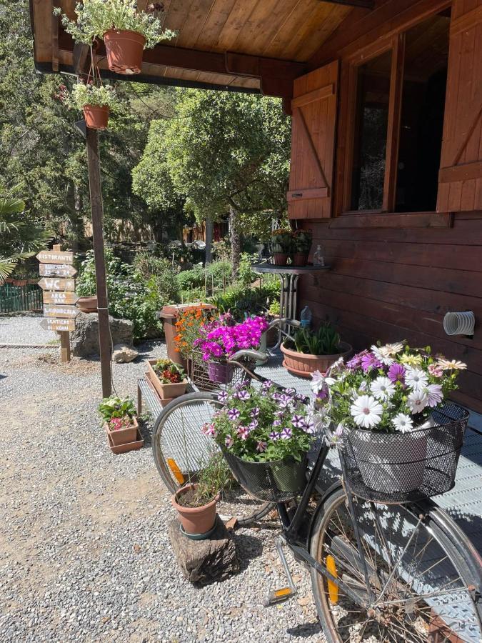 Agricamping Le Terrazze Otel Orco Feglino Dış mekan fotoğraf