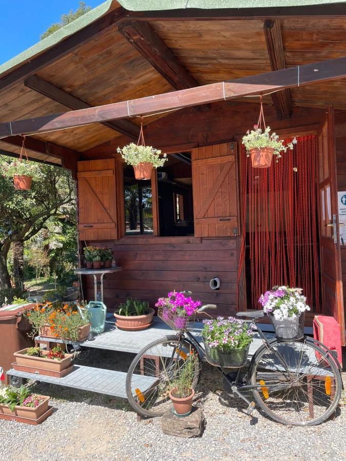 Agricamping Le Terrazze Otel Orco Feglino Dış mekan fotoğraf
