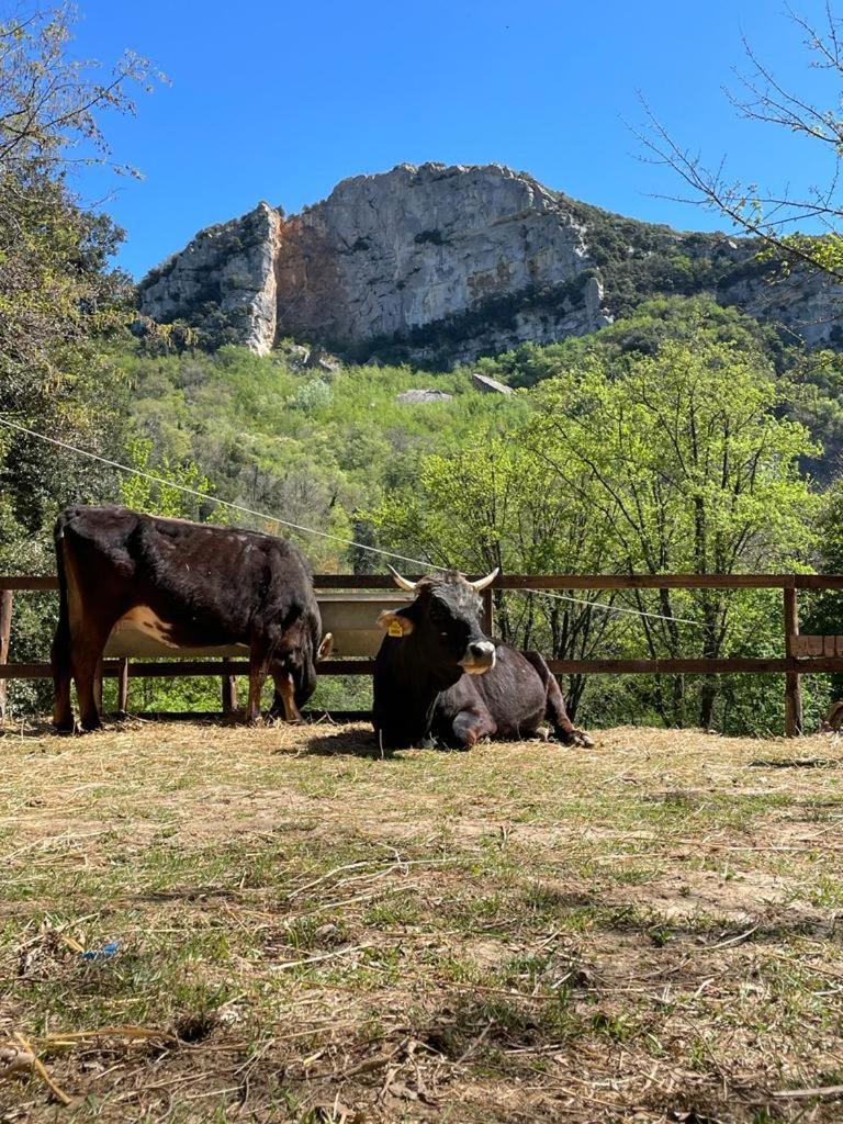 Agricamping Le Terrazze Otel Orco Feglino Dış mekan fotoğraf